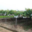 은골농장 이미지