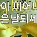 이에스유통산업
