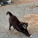 옛진못식육식당 이미지