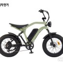 삼천리자전거 뉴시스