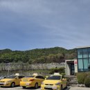 그린자동차공업사 | 30살에 도전한 운전면허시험 후기 4탄 (그린자동차학원 도로주행 2트 합격)