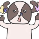 펫클럽샵 이미지