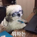 에이스PC방 | 돈 있냐고? 민생소비쿠폰이 다야.