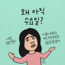 2월 8일 살사준중급 수요일 후기, 지금 집에 가게 생겼냥?? 이미지