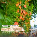 뚝섬한강공원-24 이미지