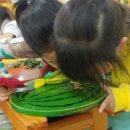 한터초등학교(병설) 이미지