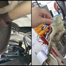 드래곤카센타 이미지