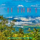 태화산 전경 이미지