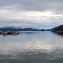 광도면사무소 이미지