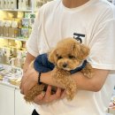 유신종합마트