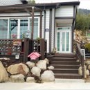 돌산커피 이미지