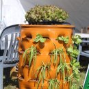 정승농장 이미지