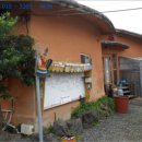 온평리-12 이미지