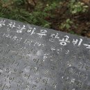 파주나무꾼