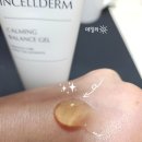 다이아 인셀덤 | 인셀덤 내돈내산 사용후기