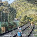 참사랑노인복지센터 이미지