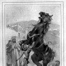 부케팔로스 이미지