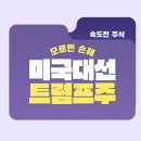 미대선주 선거일이 다가오면 오를까? 트럼프편