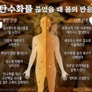 “쌀밥은 무슨 죄”…무작정 탄수화물 끊으면 내 몸에선? 이미지