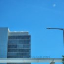 다모임 | 부산 "아난티 앳 부산 코브 다모임뷔페" 주중 런치후기