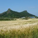 제주산방산황토펜션 이미지