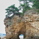 솔향기 - 보령시 심원계곡로 189 | 솔향기