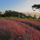 지중해 아침 2 이미지