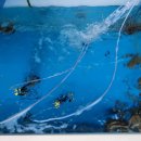 각산숯불갈비 이미지