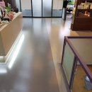 하이랑 애견유치원 이미지