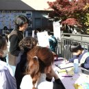 은계타운 이미지