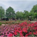 곡성-209 이미지