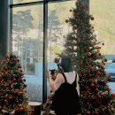 강릉 숨숨집 | 올해의 마지막 포스팅 💌