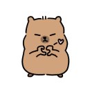 인생참치 이미지