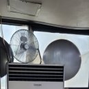 펠로타당구장 이미지