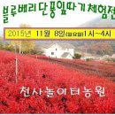 마을회관 앞, 놀이터 앞 이미지