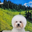 플라이봉 이미지