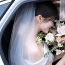 웨딩스위치 이미지