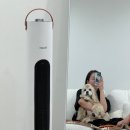그래핀전기인테리어