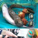 대영상회 이미지