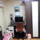 청룡동-38 Daum카페