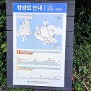 소안도 여행 3일차 가학산