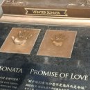 겨울연가 동상 이미지