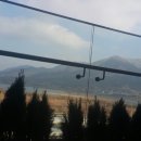 아쿠아필드 이미지