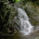 금대자동차야영장(치악산국립공원) 이미지