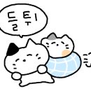 대명춘 이미지