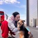 왕실동물병원 이미지