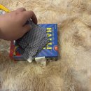 아지트 당구 | [파티룸리뷰] 어스스페이스 후기! 우리들만의 아지트로 딱인 감성 공간 _어스스페이스 관악