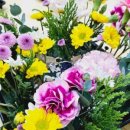 구리초등학교(병설) 이미지