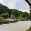 맛짱손두부 | 금광호수 맛집 맛짱손두부