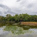 무심교옆 이미지